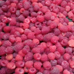 Meet your Posher, Nemanja cone